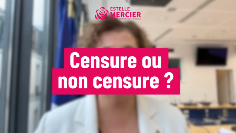 Copie de image flou Capcut-4